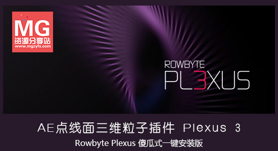 plexus-3.jpg